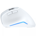 Chuột không dây DAREU LM108B White (ERGO - Dual Mode: Bluetooth + 2.4G)