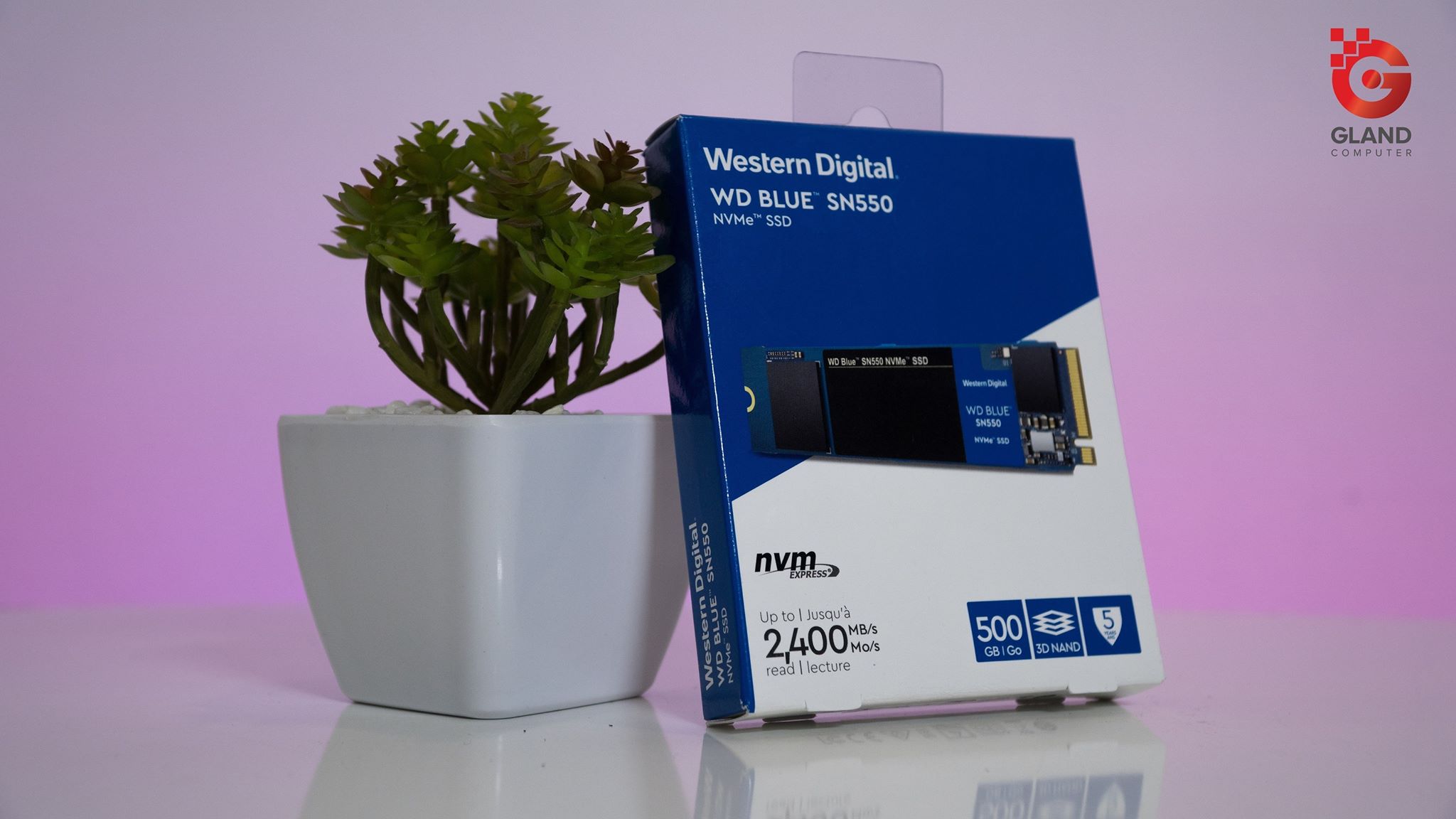 Đánh giá Western Digital Blue SN550 NVMe SSD: ổ lưu trữ cực đỉnh giá tốt cho tất cả mọi người!