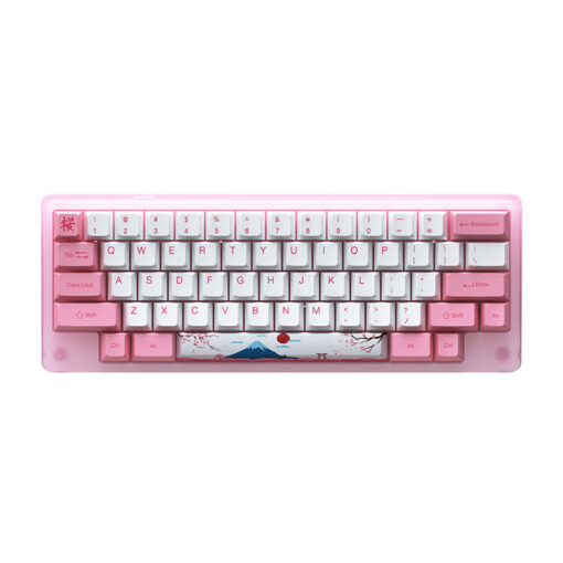 Bàn phím cơ AKKO ACR59 Pink (Hotswap / RGB / AKKO cs switch Jelly Pink)