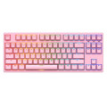 Bàn phím cơ AKKO 3087S Pink RGB – Black (Cherry blue switch)