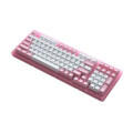 Bàn phím cơ AKKO ACR98 Pink (Hotswap / RGB / AKKO CS sw Jelly Pink)