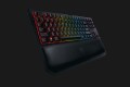 Bàn phím cơ Razer Blackwidow Tournament Edition Chroma V2 Orange Switch