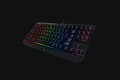 Bàn phím cơ Razer BlackWidow Tournament Edition Chroma V2 (GREEN SWITCH)
