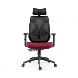 Ghế công thái học Ergonomic HBADA 05