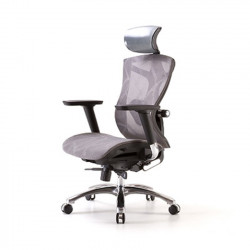 Ghế công thái học Sihoo Ergonomic V1 - Grey