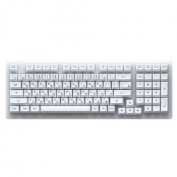 Bàn phím cơ AKKO ACR98 White (Hotswap / RGB / AKKO CS sw Jelly White)