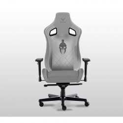 Ghế Game Centaur Akali - Gray White ( Xám Nhạt )
