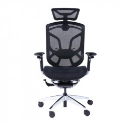 Ghế công thái học GTChair Dvary Butterfly - Black