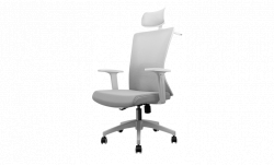 Ghế Công Thái Học  FANTECH  OCA258 WHITE