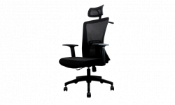 Ghế Công Thái Học  FANTECH  OCA258 BLACK