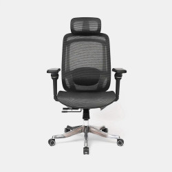 Ghế công thái học ergonomic HyperWork Airy Pro (Tay 4D)
