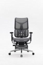Ghế công thái học Sihoo ergonomic SIHOO AU-1B (S300) Black