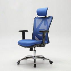 Ghế công thái học Sihoo Ergonomic M18 - Blue