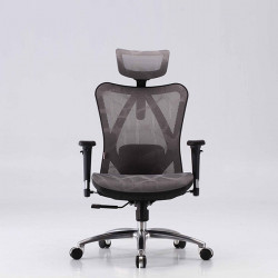 Ghế công thái học Sihoo Ergonomic M57 - Grey